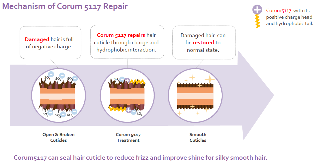 Corum 5117 by Corum Ross Organic an Azelis company